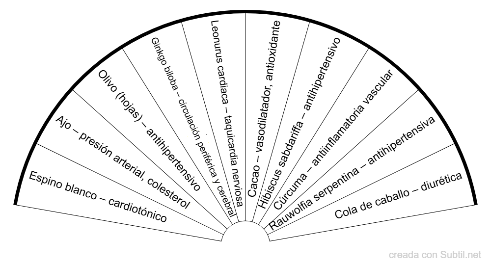 Cardiacas y circulatorio medicina