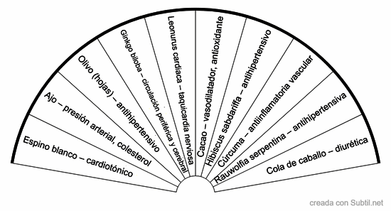 Cardiacas y circulatorio medicina