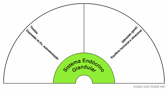 Sistema endócrino / glandular