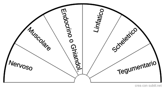 Sistemi del corpo umano