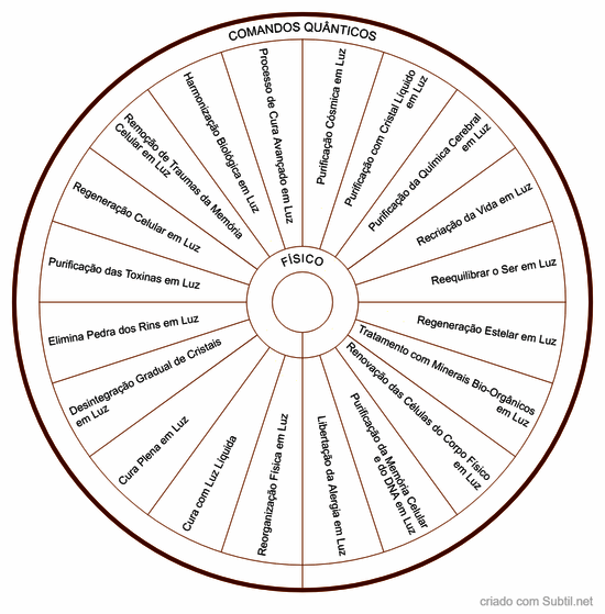 Comandos quânticos - físico
