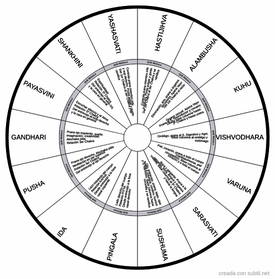 Nadis - ayurveda