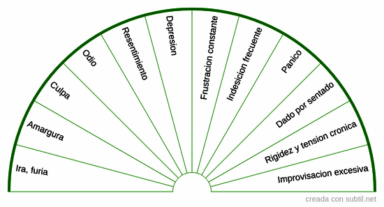 Emociones - Higado - Vesicula (madera)