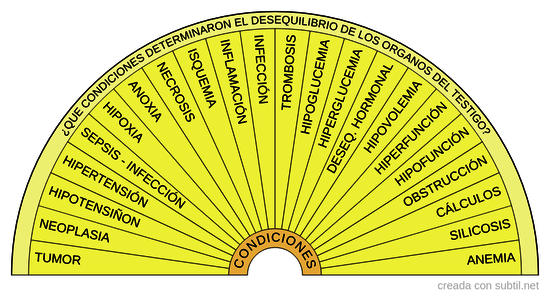 3. Condiciones