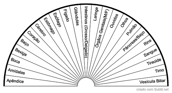Causas físicas 04 - Órgãos do corpo humano