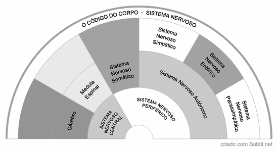 Código do corpo - sistema nervoso