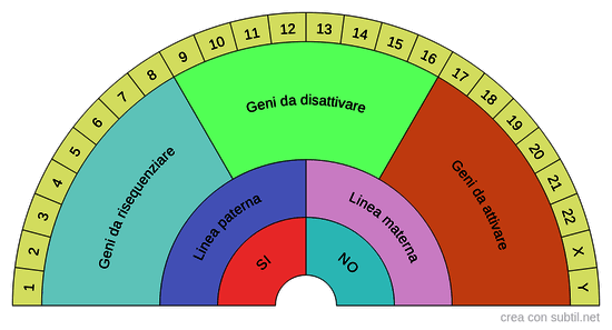 Genetica e cromosomi