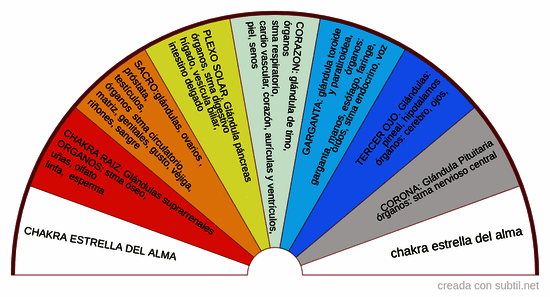 Chakras / Glandula / Organos