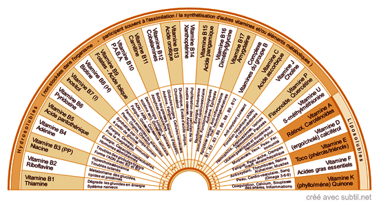 Toutes les vitamines