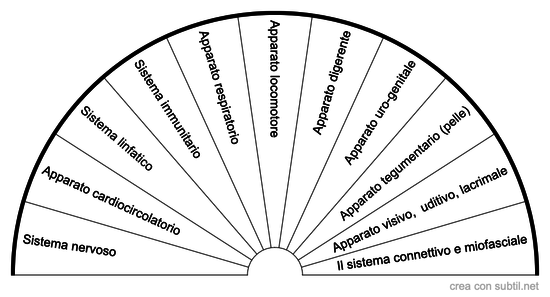 Apparato Anatomico