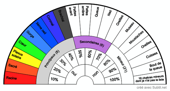 Chakras des animaux : chien et chat