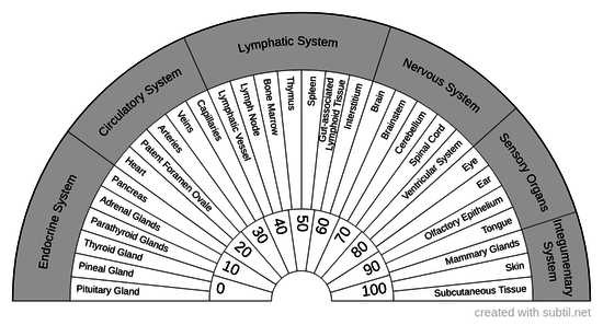 Systems of the Body #2