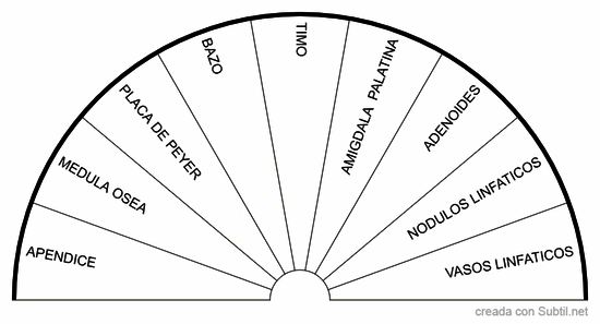 Sistema inmunológico