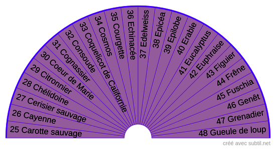 Élixirs floraux contemporains Deva 2