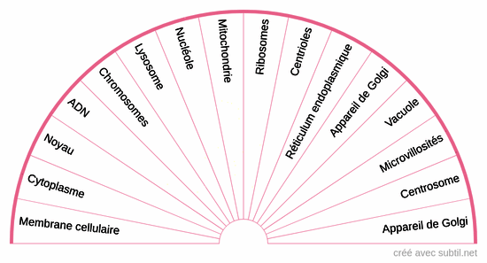 Mémoires cellulaires 