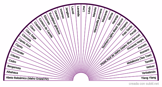 Aceites Esenciales YL - Simples