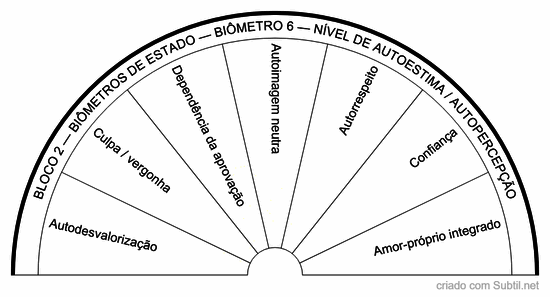 Bloco 2 — biômetros de estado — biômetro 6 — nível de autoestima / autopercepção
