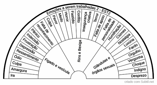 Emoções a serem trabalhadas 2
