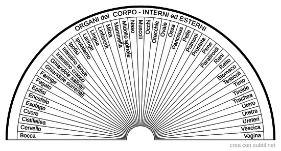 Organi del corpo Interni ed Esterni