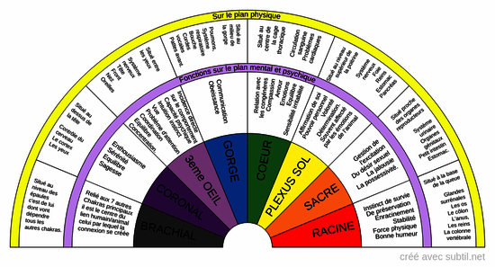 Chakras des animaux