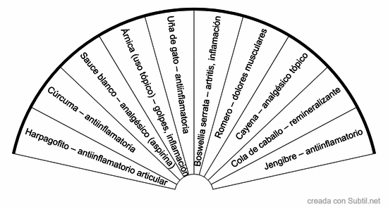 Plantas musculoesqueletico medicina