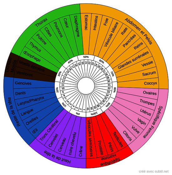 Organes en faiblesse
