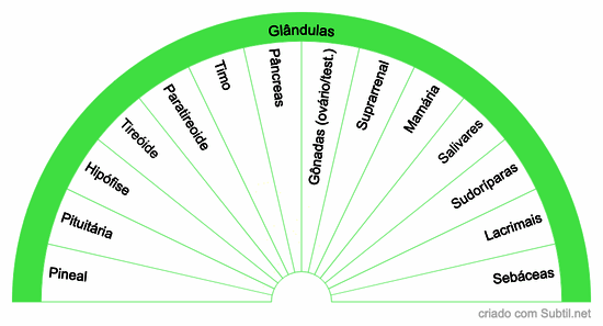 Glândulas do corpo físico