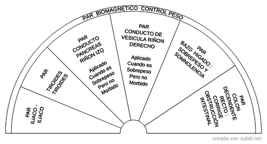 Pa  biomagnetico control peso 