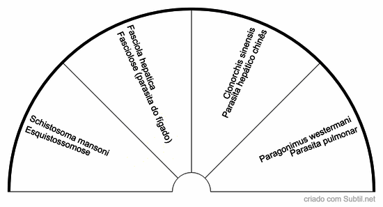 Trematódeos (vermes achatados)
