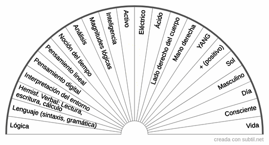 Funciones del hemisferio izquierdo cerebral