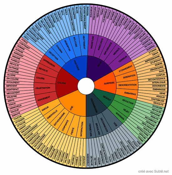 Roue des émotions