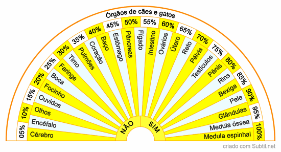 Órgãos do pet