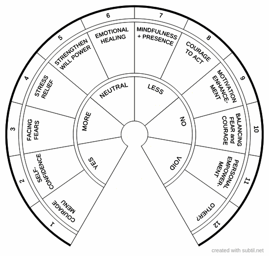 Healy courage programs