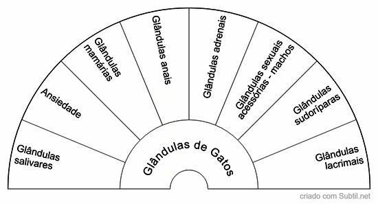Glândulas de gatos