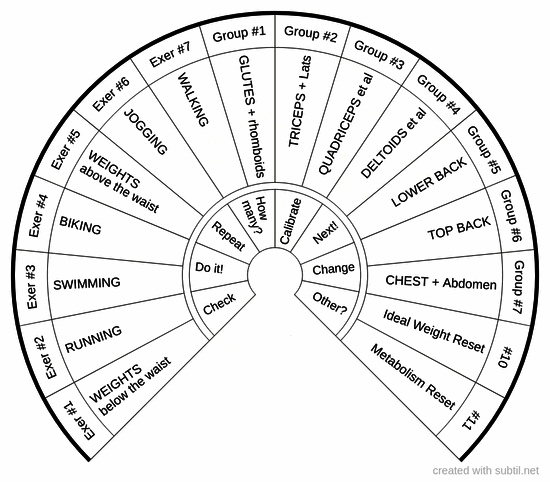 Exercises / muscle groups