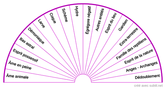 Type d'entités