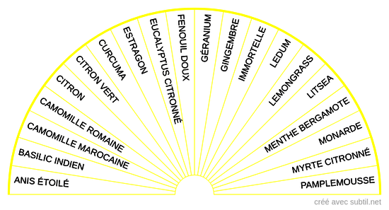 Huiles essentielles - 3ème Chakra