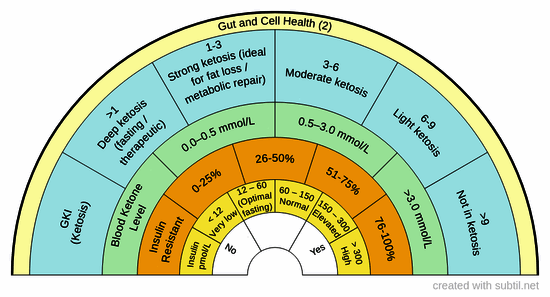 Gut and cell health 2