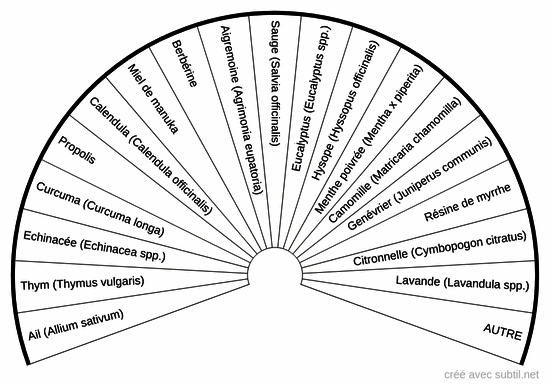 Plantes antibactériennes 