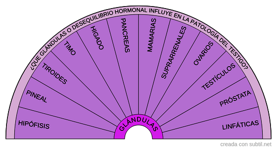 5. Glándulas