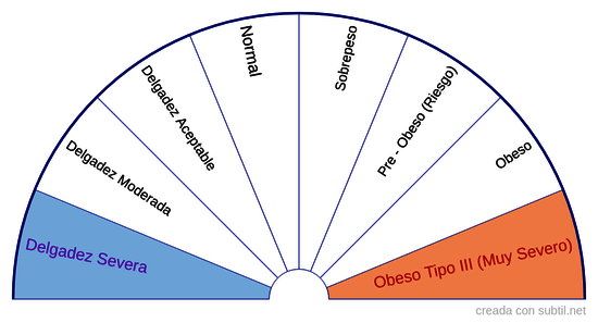 Peso del cuerpo físico