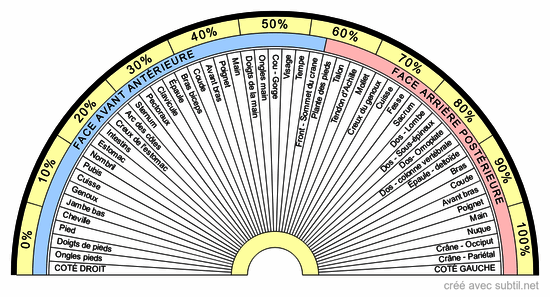 Médical - Parties du corps