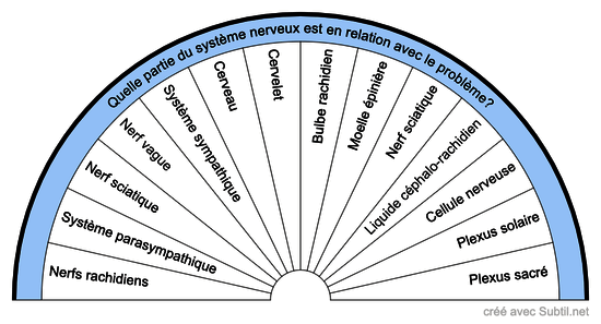 Systèmes nerveux