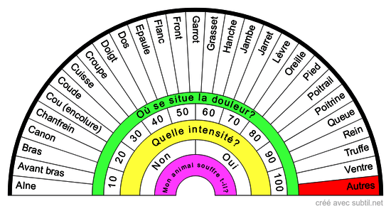 Anatomie Externe du CHIEN/CHIENNE