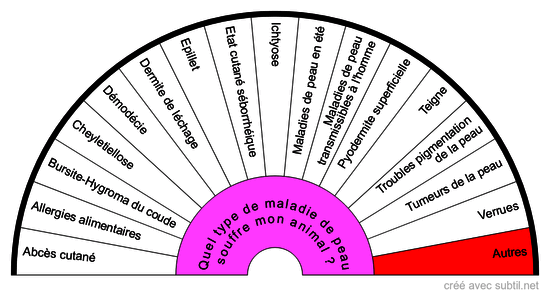 Les maladies de peau chez le CHIEN