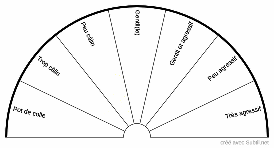 Caractères du chat