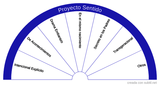 Proyecto Sentido