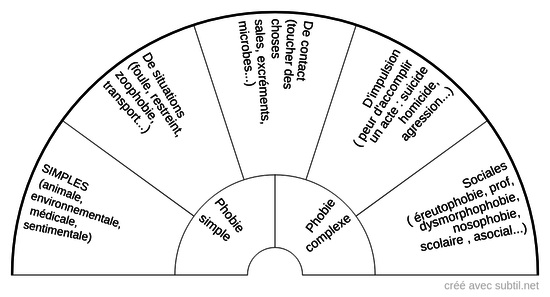 Types de phobies