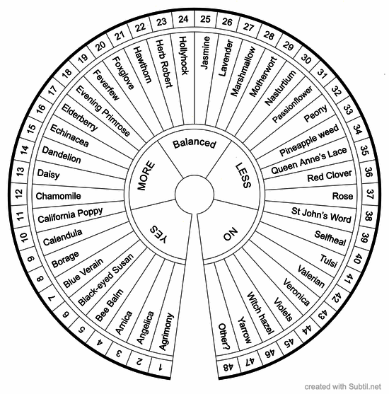 Healing with flowers (40)