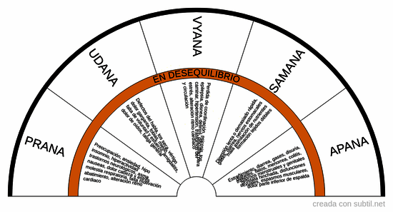 Subdosha Vata - Ayurveda